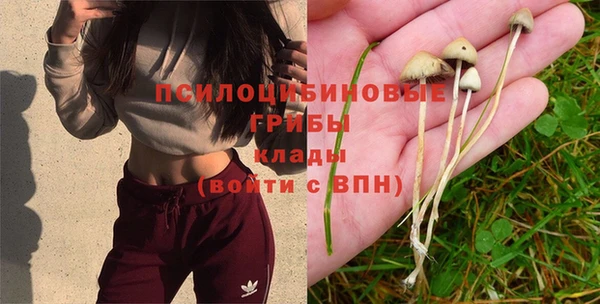 ГАЛЛЮЦИНОГЕННЫЕ ГРИБЫ Балахна