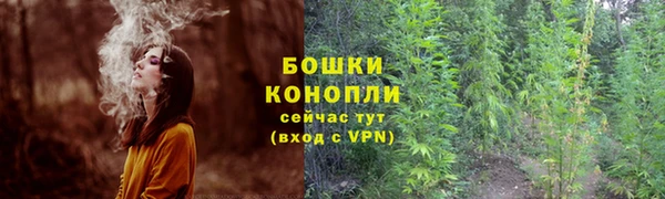 ГАЛЛЮЦИНОГЕННЫЕ ГРИБЫ Балахна