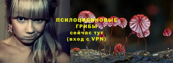 ГАЛЛЮЦИНОГЕННЫЕ ГРИБЫ Балахна
