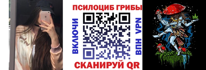 купить наркоту  Белая Холуница  Псилоцибиновые грибы Cubensis 