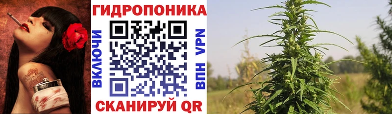 Бошки Шишки MAZAR  Белая Холуница 